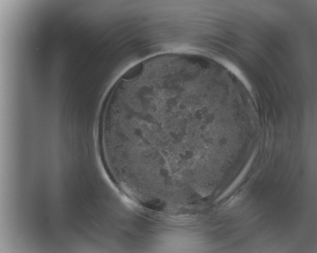 X0000069801007200605261718