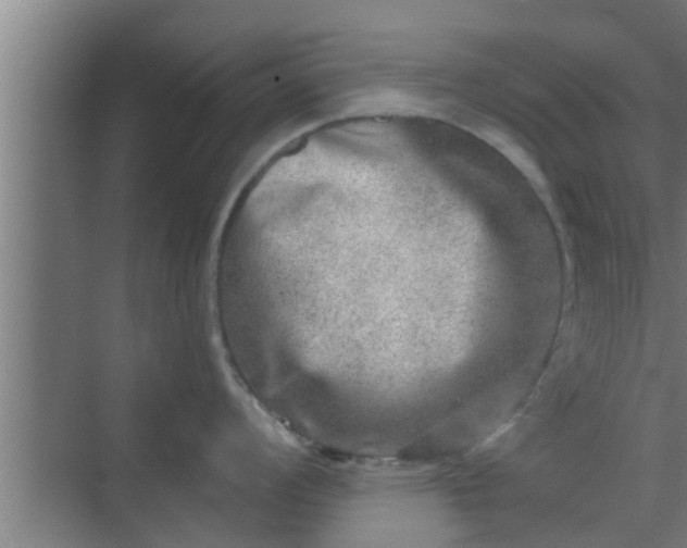 X0000069801008200605261718