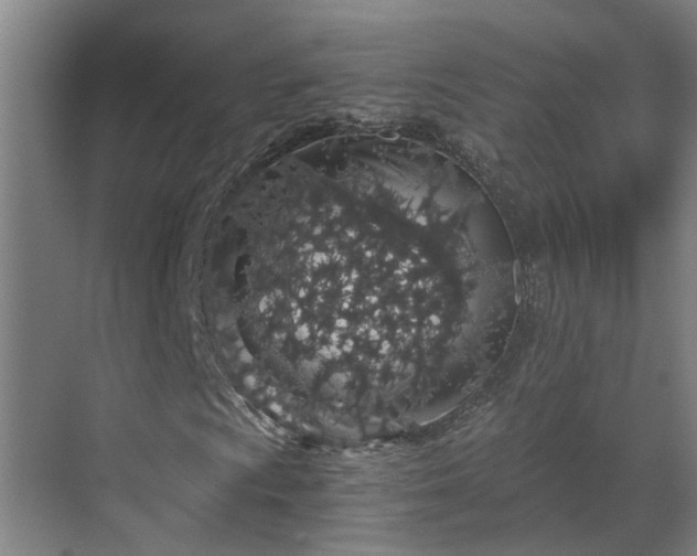 X0000069801009200605261717