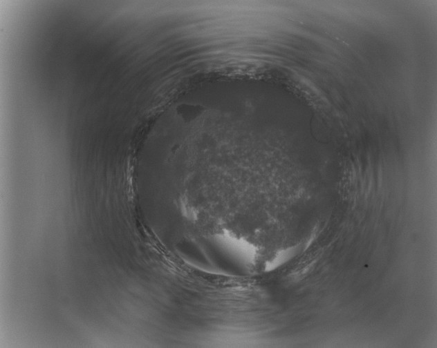 X0000069801013200605261717