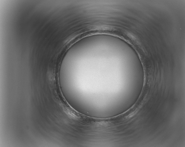 X0000069801017200605261717