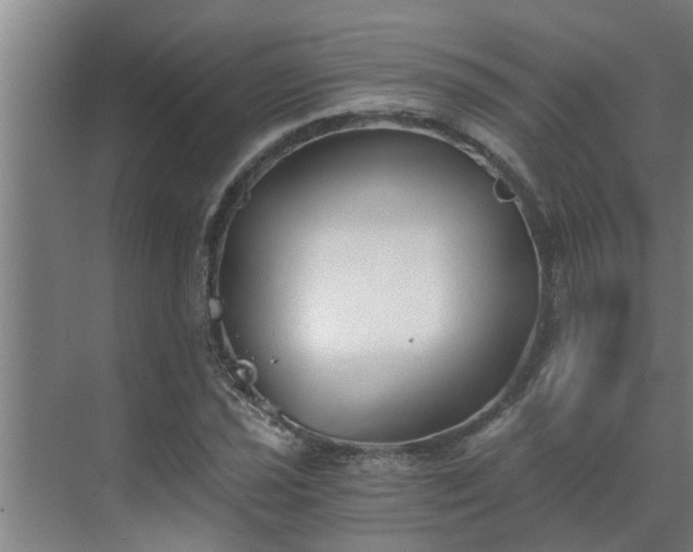 X0000069801021200605261717