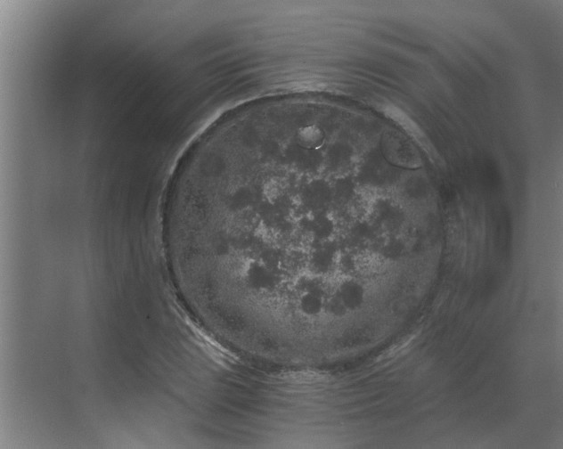 X0000069801023200605261717