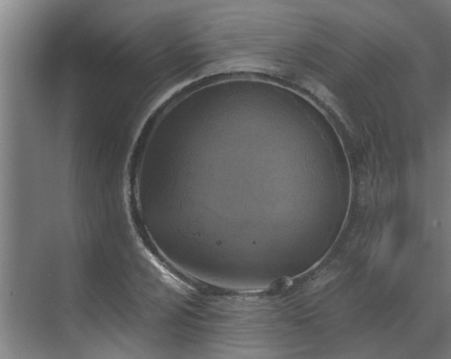 X0000069801024200605261717