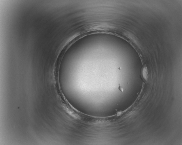 X0000069801026200605261717