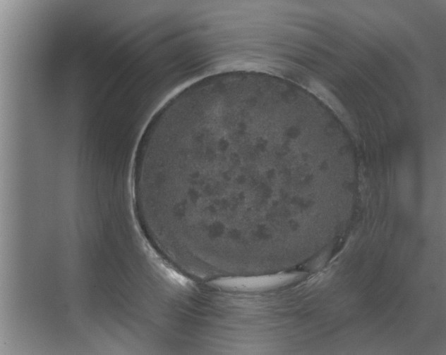 X0000069801028200605261717