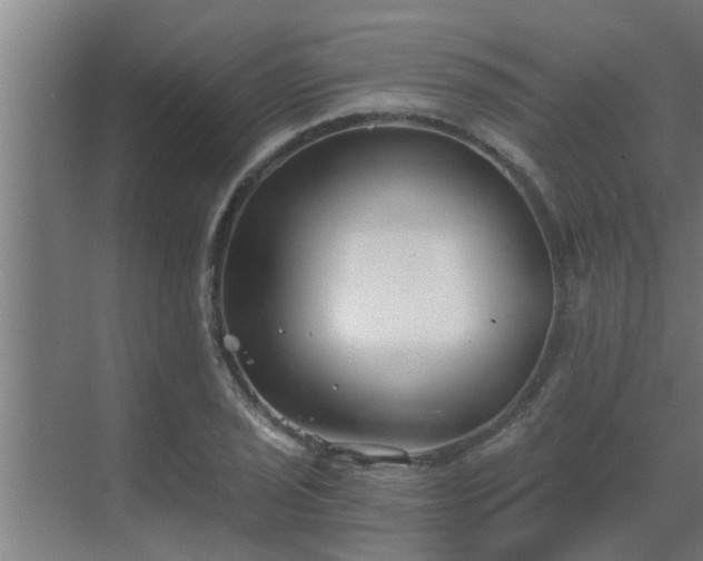 X0000069801029200605261717