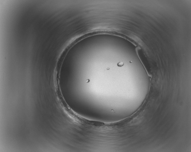 X0000069801030200605261717