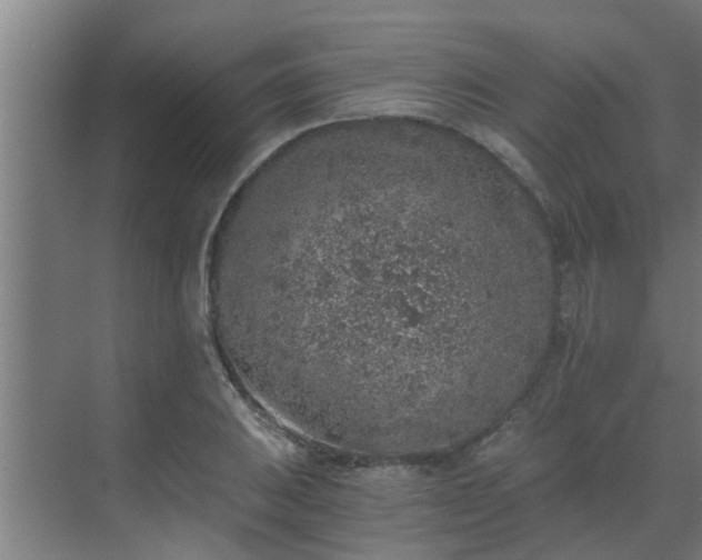 X0000069801031200605261717