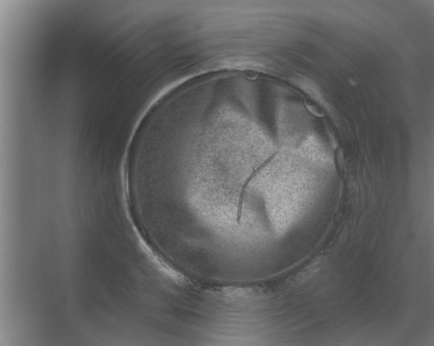 X0000069801032200605261717