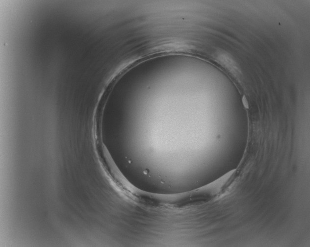 X0000069801034200605261717