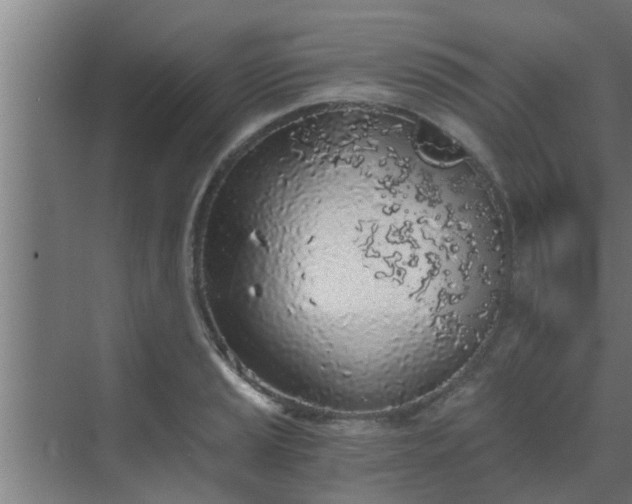 X0000069801037200605261717