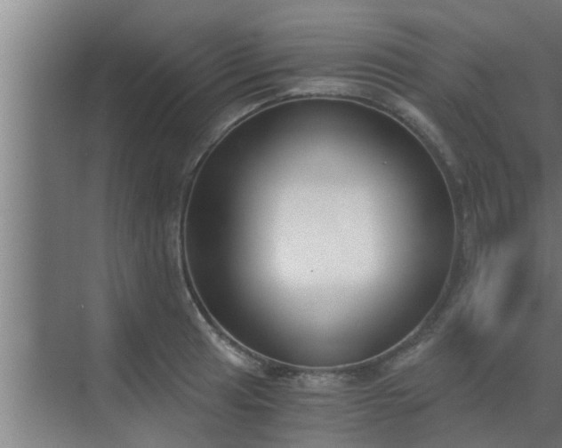 X0000069801041200605261717