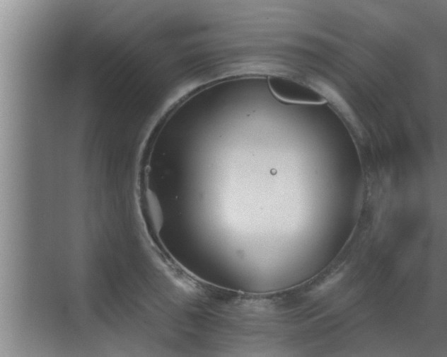 X0000069801043200605261717