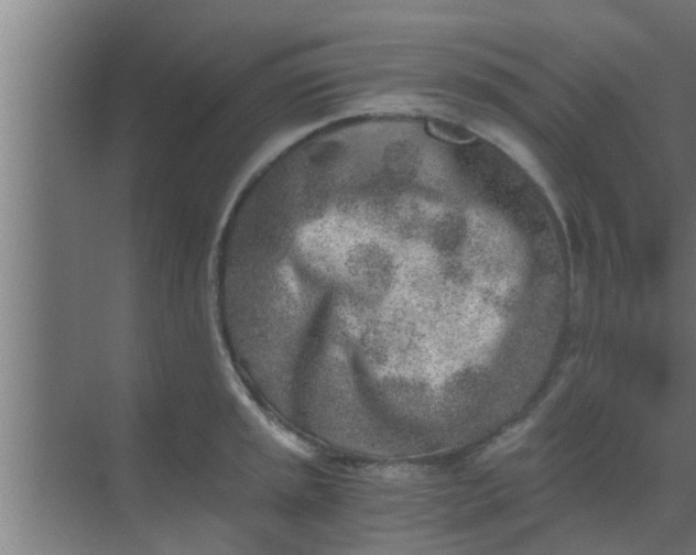 X0000069801045200605261717