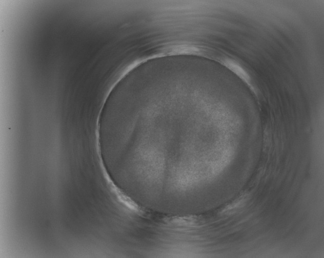 X0000069801047200605261717