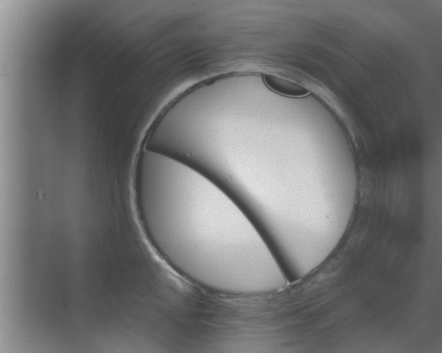 X0000069801048200605261717