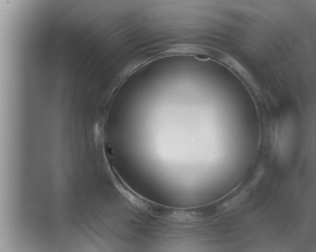 X0000069801049200605261717