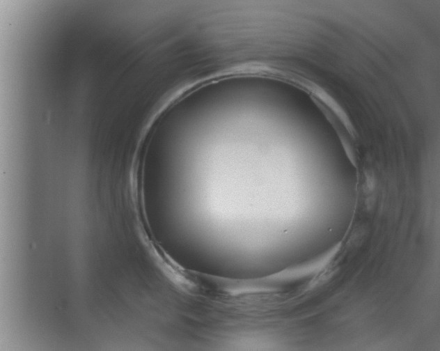 X0000069801054200605261718