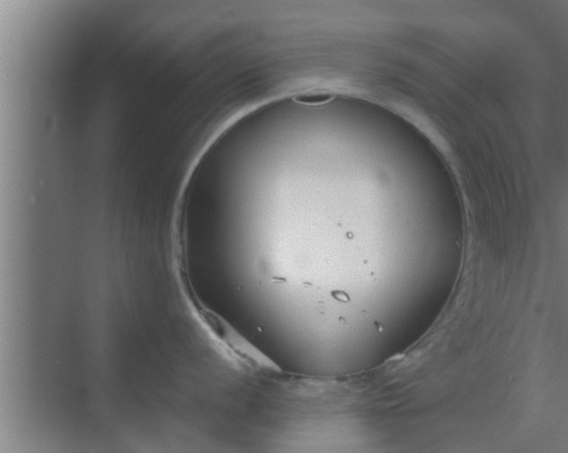 X0000069801056200605261718