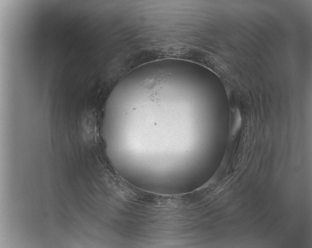 X0000069801058200605261717