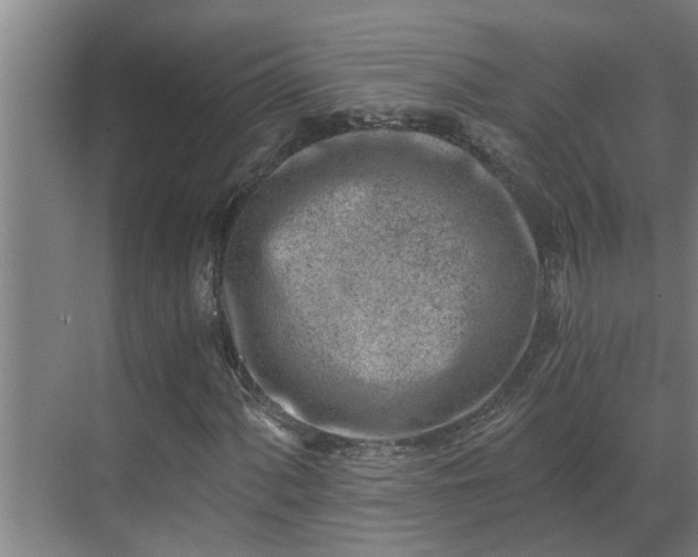 X0000069801060200605261717