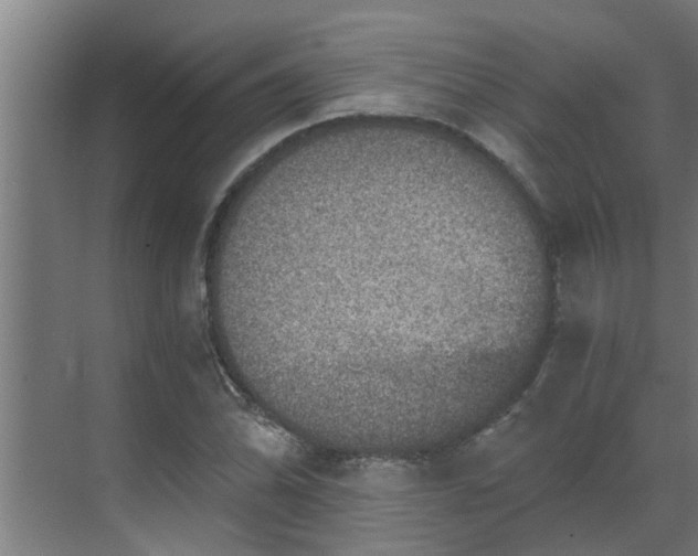 X0000069801070200605261717