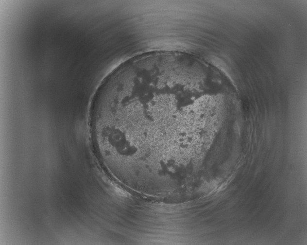 X0000069801071200605261717