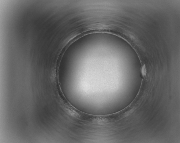 X0000069801073200605261716