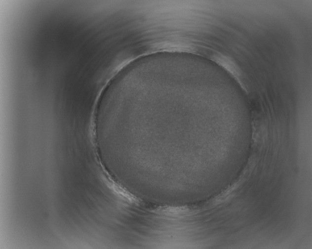 X0000069801074200605261716