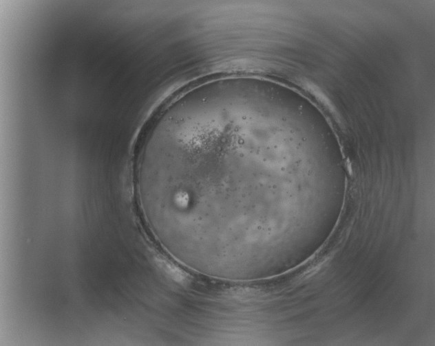 X0000069801075200605261716