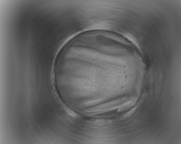 X0000069801077200605261716