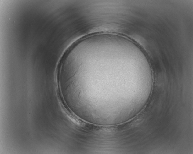 X0000069801078200605261716