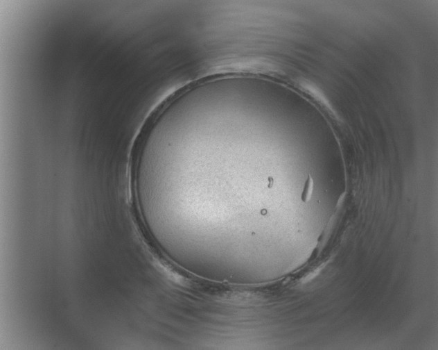 X0000069801079200605261716