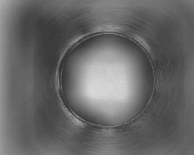 X0000069801080200605261716