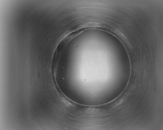 X0000069801081200605261716