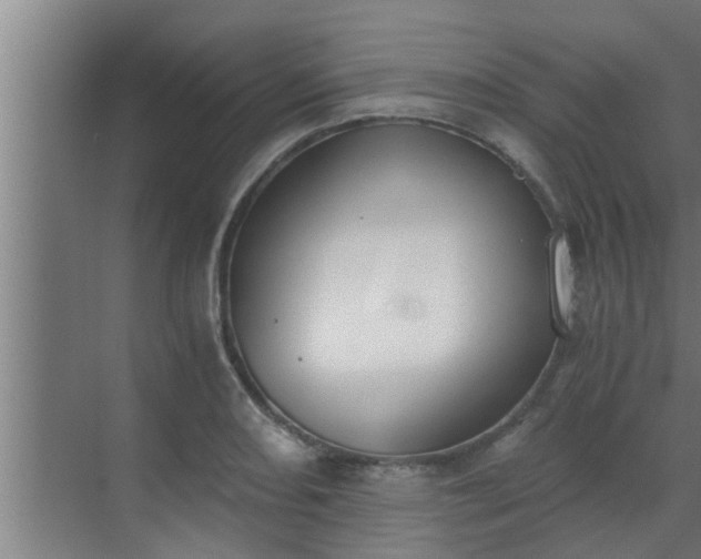 X0000069801082200605261716