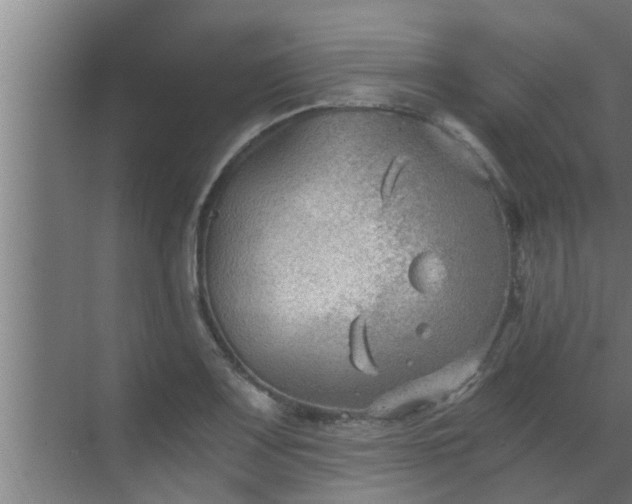 X0000069801083200605261716