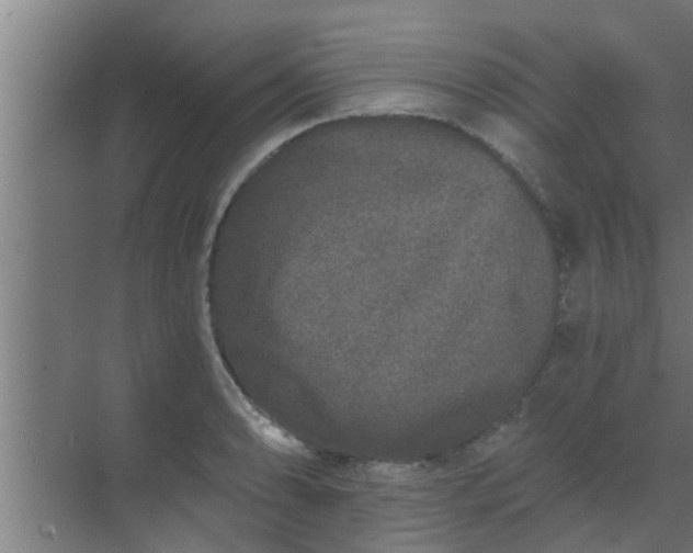 X0000069801086200605261716