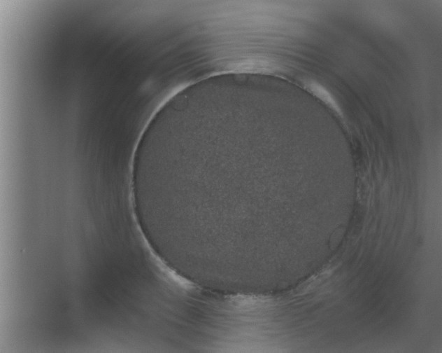 X0000069801087200605261716