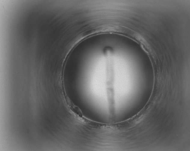 X0000069801089200605261716