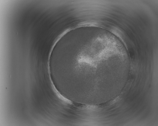 X0000069801090200605261716