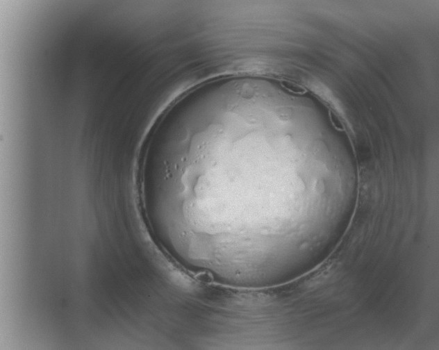 X0000069801091200605261716