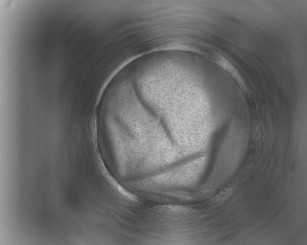 X0000069801092200605261716