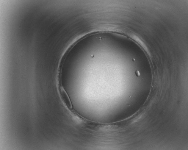 X0000069801093200605261716