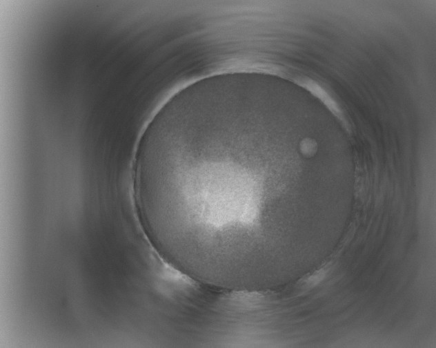 X0000069801094200605261716