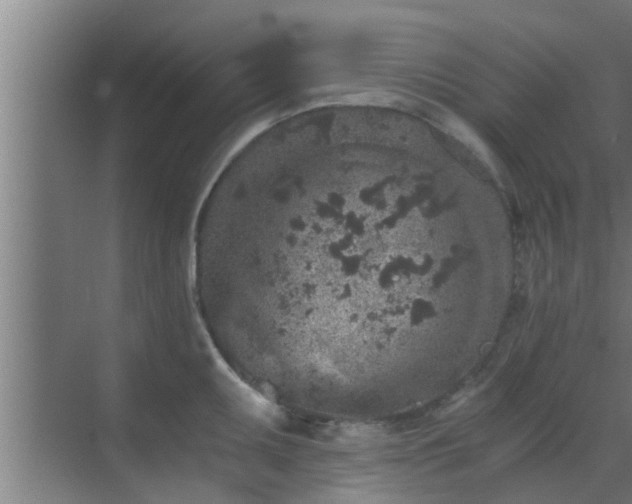 X0000069801095200605261716