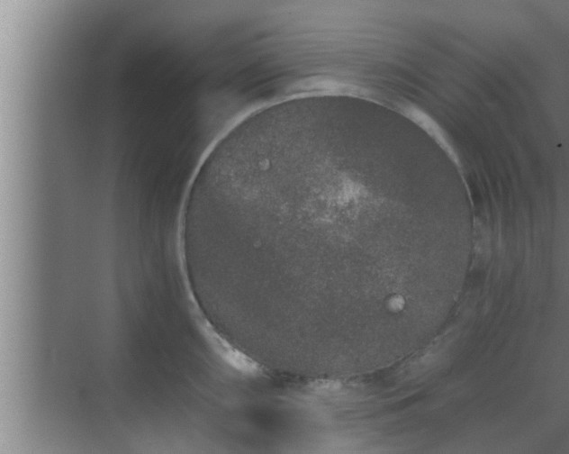 X0000069801098200605261716