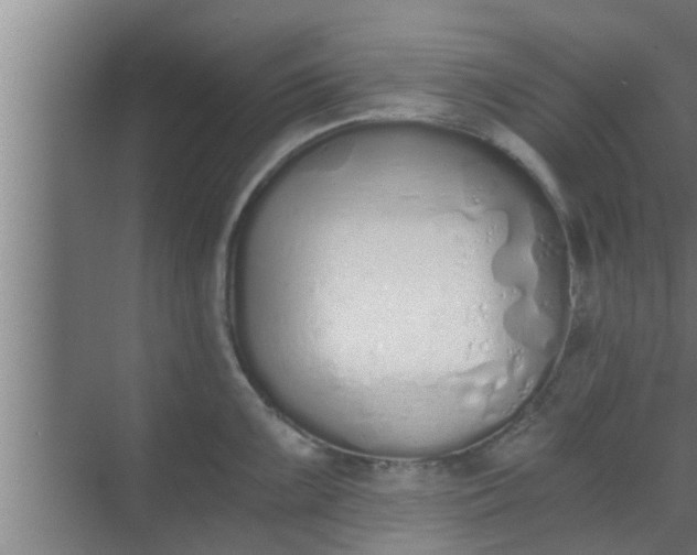 X0000069801099200605261716