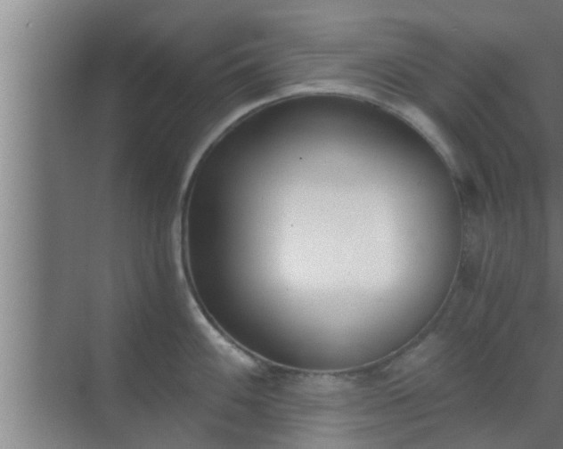 X0000069801100200605261716